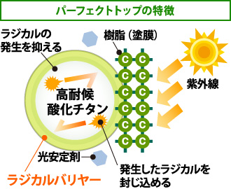 「パーフェクトトップの特徴」ラジカルの 発生を抑え、さらに発生したラジカルを 封じ込める