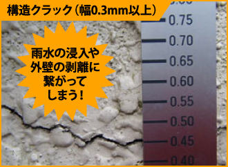 構造クラック(幅0.3mm以上)