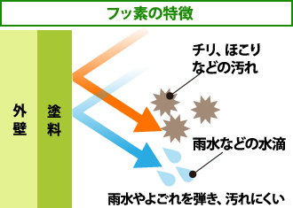 フッ素の特徴