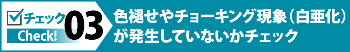 色褪せやチョーキング現象(白亜化)が発生していないかチェック
