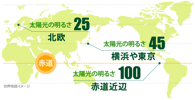 世界地図
