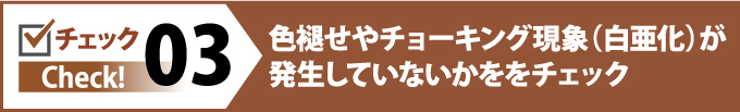 色あせやチョーキング現象(白亜化)が発生していないかをチェック