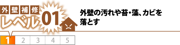 レベル1外壁の汚れや苔、藻、カビを落とす