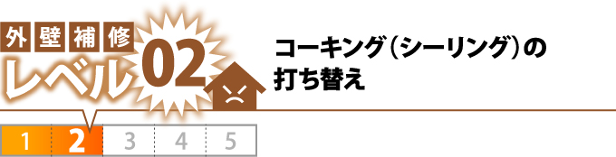 レベル2コーキング(シーリング)の打ち替え