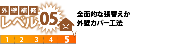 レベル5全面的な張替えか外壁カバー工法