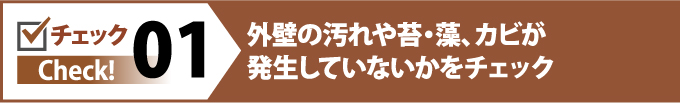 外壁の汚れや苔、藻、カビが発生していないかをチェック