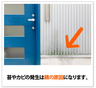 苔やカビの発生は錆の原因になります