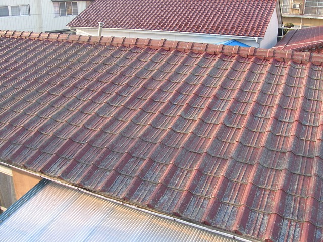 南側屋根