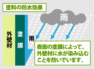 表面の塗膜によって、外壁材が水に染み込むことを防いでいます
